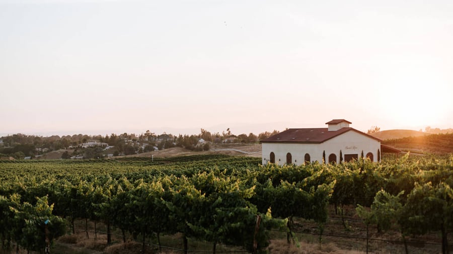danza-del-sol-winery-by-wedgewood-events-12