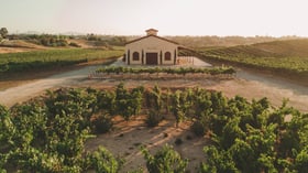 danza-del-sol-winery-by-wedgewood-events-14