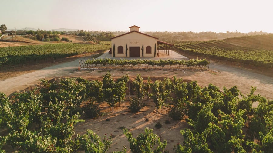 danza-del-sol-winery-by-wedgewood-events-14