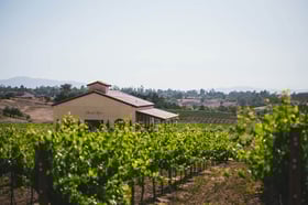 danza-del-sol-winery-by-wedgewood-events-15