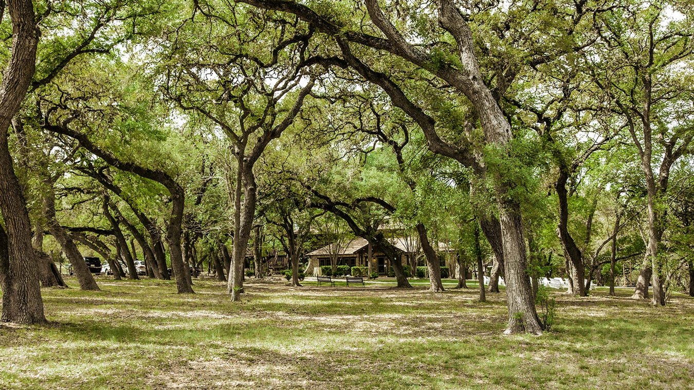Helotes Scenic Springs: Hill Country Views, Rustic Elegance in Helotes TX
