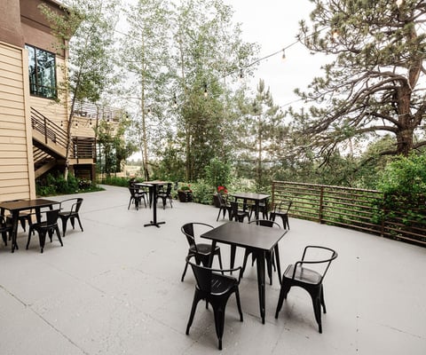 The Pines