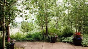 Garden terrace with lush greenery - The Pines by Wedgewood Events - 1