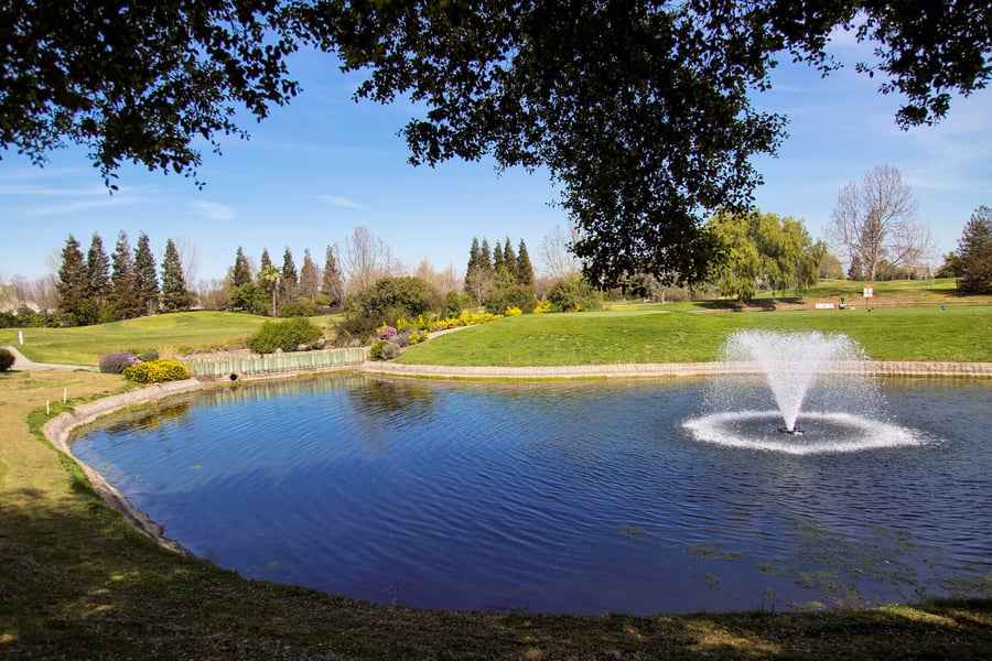 brentwood-rise-by-wedgewood-events-23