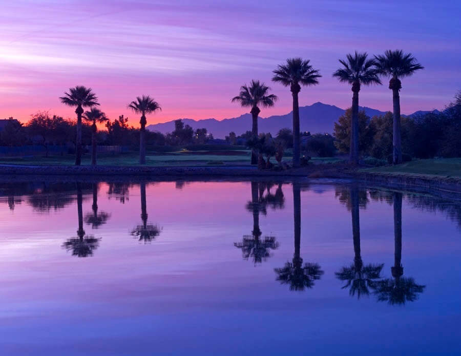 palm-valley-by-wedgewood-events-14