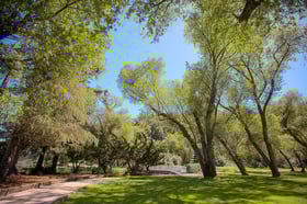 redwood-canyon-by-wedgewood-events-3