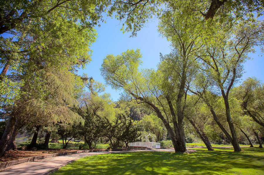 redwood-canyon-by-wedgewood-events-3